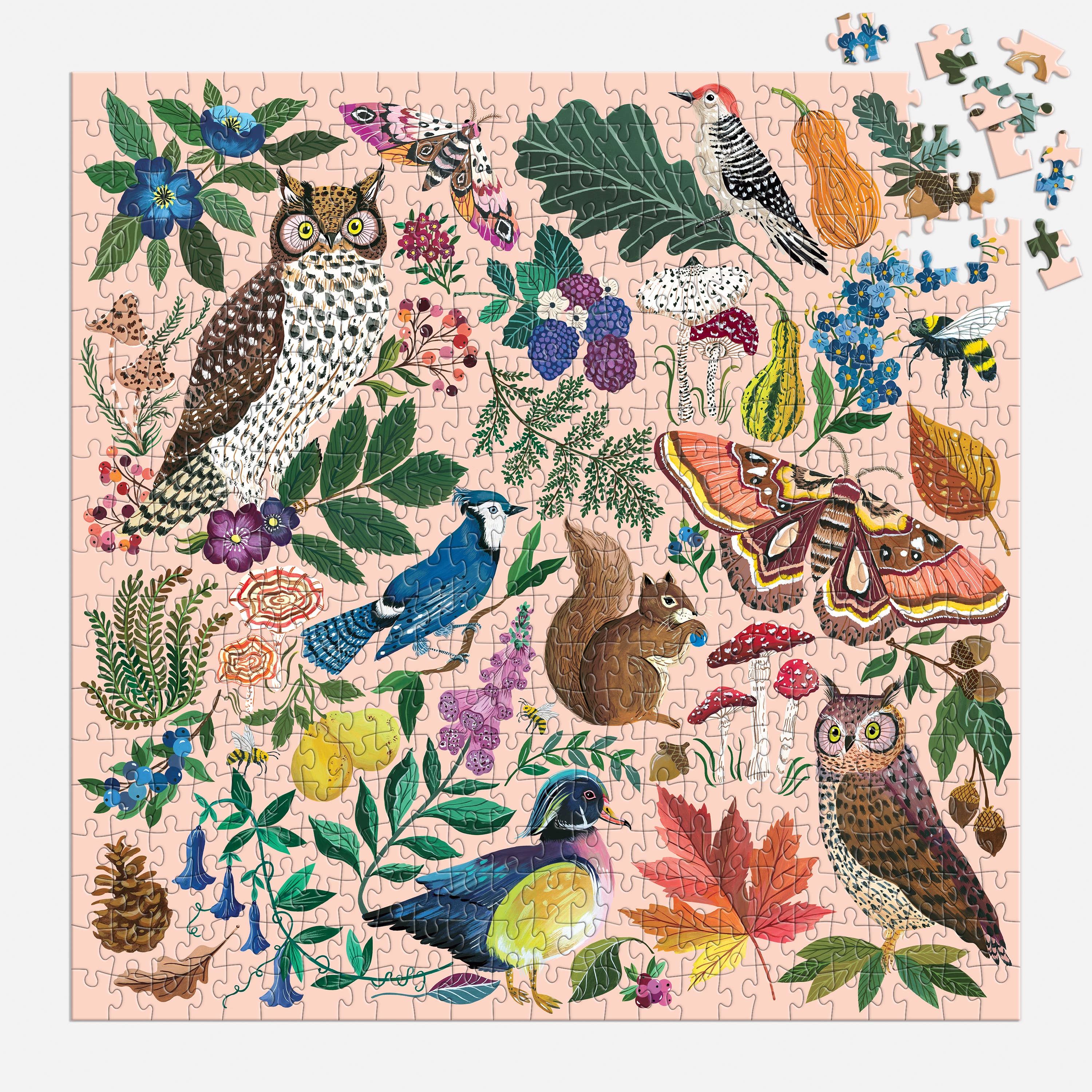 Chronicle Books - Nature in Autumn 500 Piece Puzzle