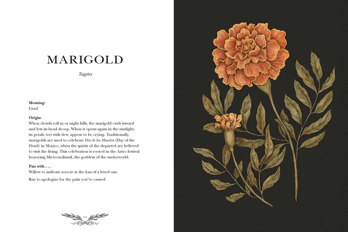 Simon & Schuster - Floriography by Jessica  Roux
