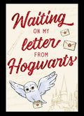 Harry Potter Waiting on Magnetic Canvas - #shop_name Silver BuffaloGifts