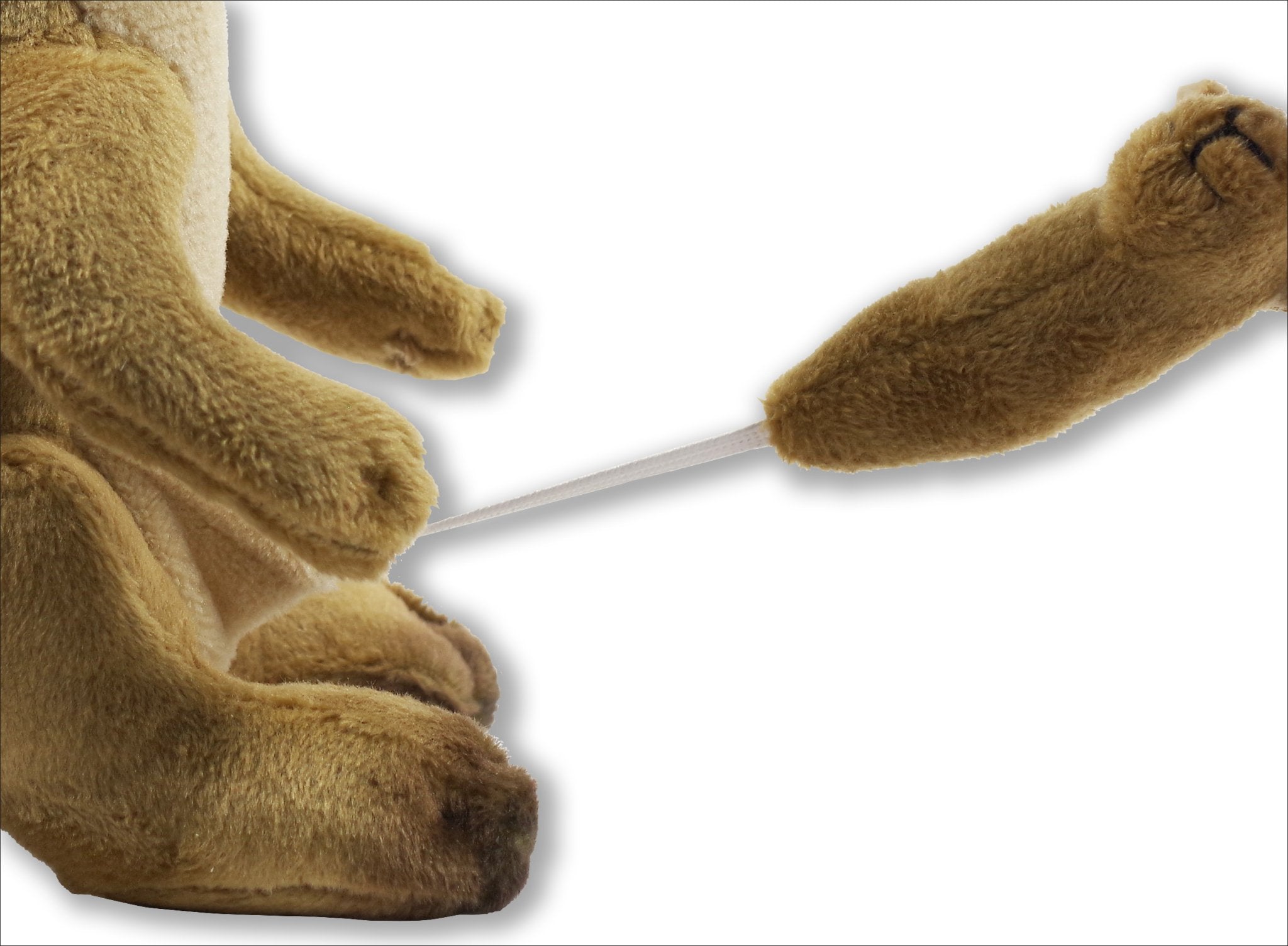 Hug a Kangaroo Kit - #shop_name Peter Pauper PressGifts