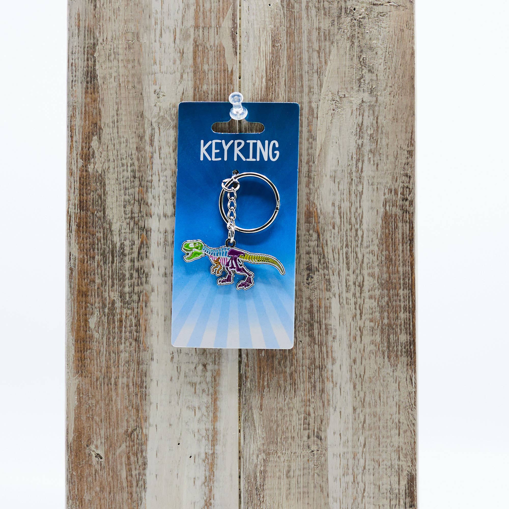 Metal Keyring Rainbow Dino Skeleton - #shop_name KalanGifts