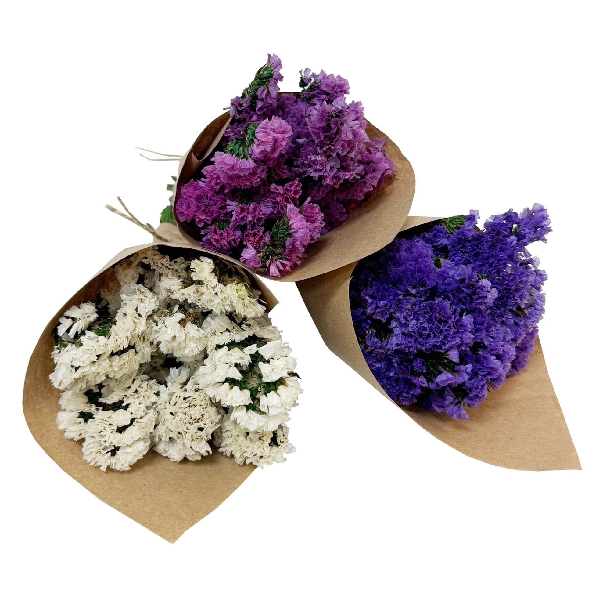 MINI Statice Flower Bundle: White - #shop_name AndalucaGifts