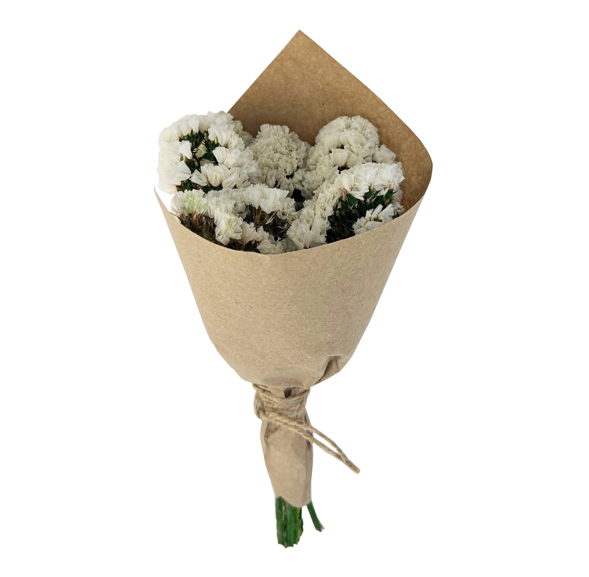 MINI Statice Flower Bundle: White - #shop_name AndalucaGifts