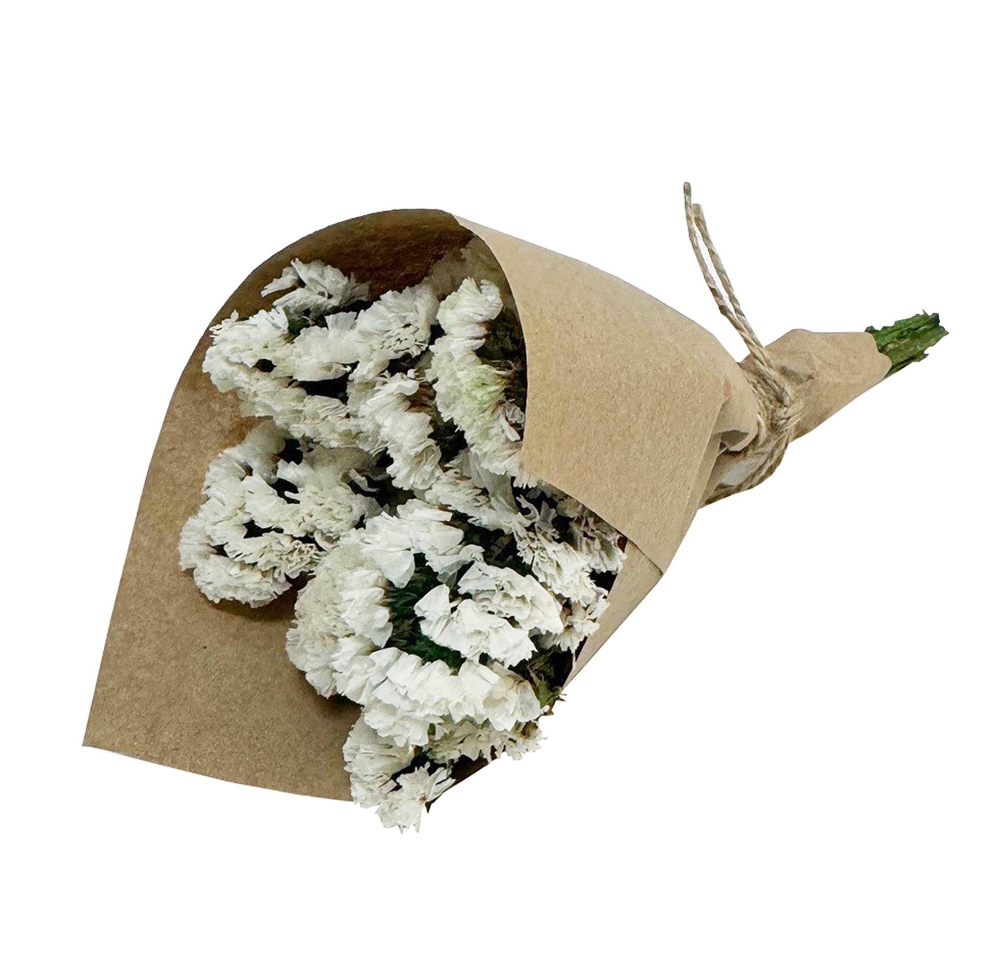 MINI Statice Flower Bundle: White - #shop_name AndalucaGifts