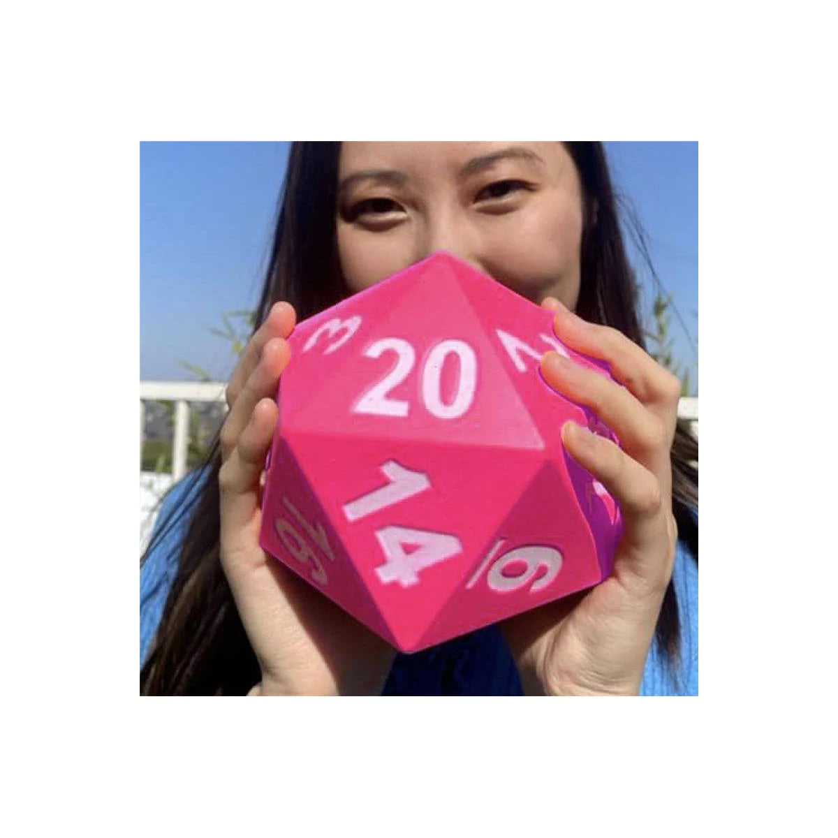 Giant Foam D20 Dice