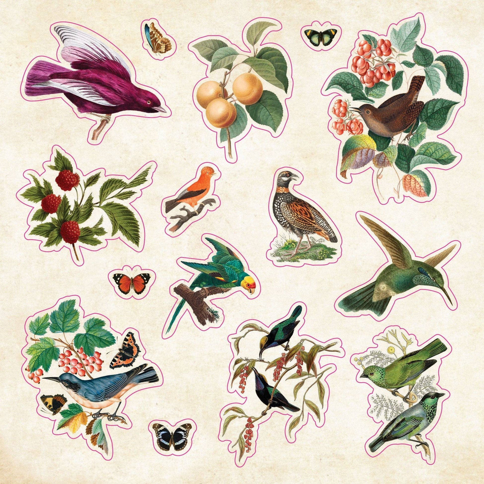 The Sticker Book of Curiosities - #shop_name Peter Pauper PressGifts