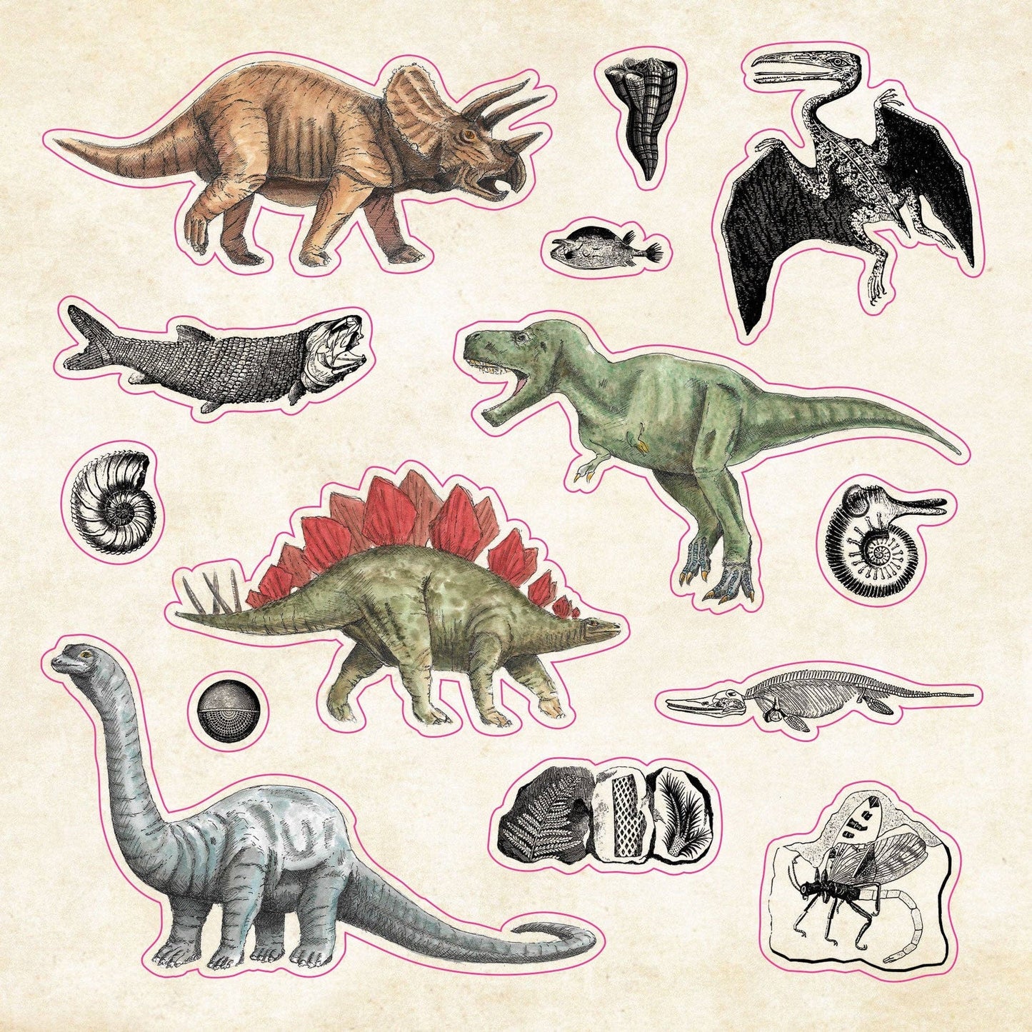 The Sticker Book of Curiosities - #shop_name Peter Pauper PressGifts