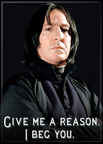 Harry Potter Snape I Beg You Magnet 2.5" x 3.5"