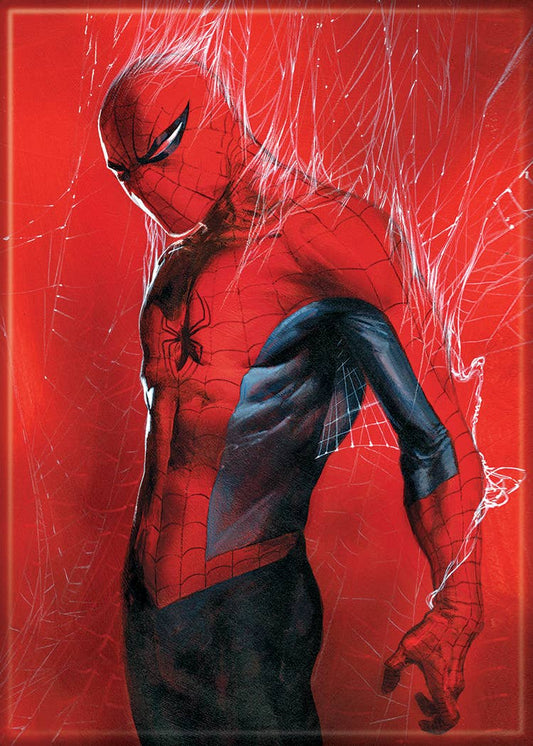 Marvel Amazing SpiderMan 800 Dell Otto Magnet
